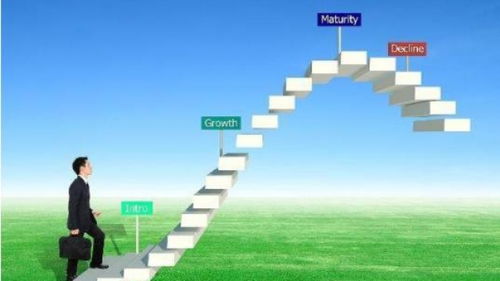 深圳品牌策劃與營銷 市場動(dòng)態(tài)與專業(yè)機(jī)構(gòu)的優(yōu)勢(shì)解析