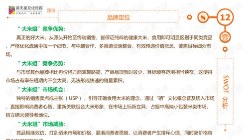 大米姐品牌營銷策劃案商業計劃書